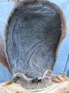Whitetail deer pedestal shoulder mount; Rapid City, South Dakota