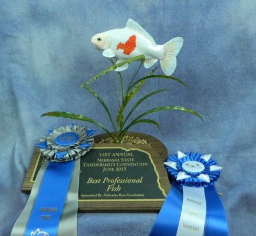 Best professional fish mount in Nebraska, 2015