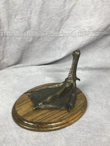Bronzed tundra swan taxidermy foot; Aberdeen, SD