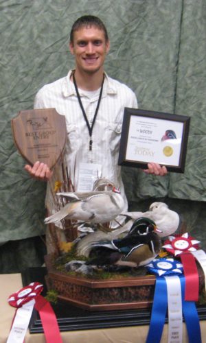 Wood Duck Trio Mount; Nebraska Award Winner
